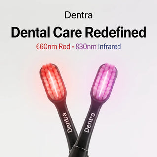 Dentra Starter