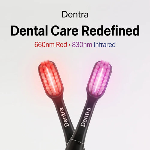 Dentra Starter